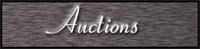 auctions.jpg (9264 bytes)